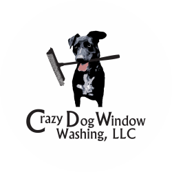 Crazy_Dog_Windows_LOGO_2_@0.5x